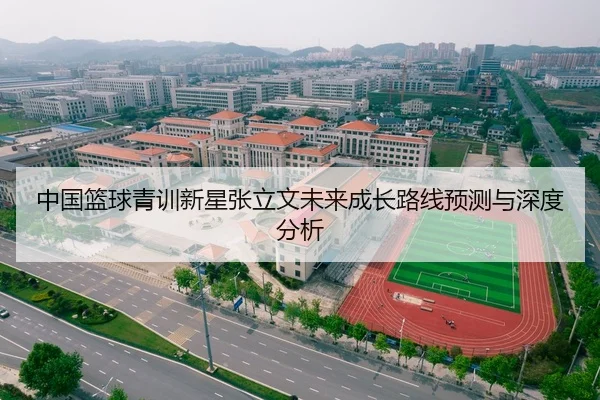 中国篮球青训新星张立文未来成长路线预测与深度分析