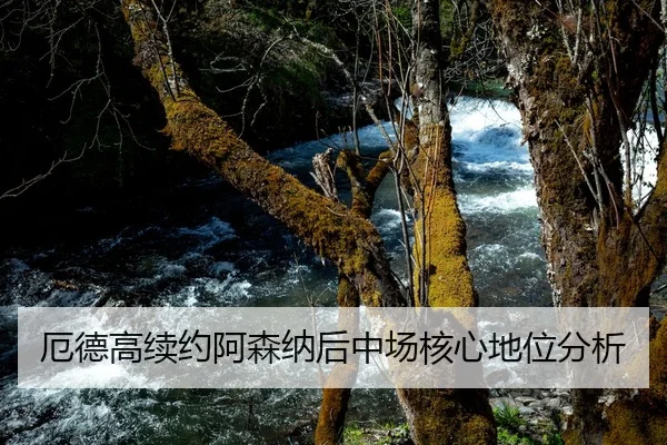 厄德高续约阿森纳后中场核心地位分析